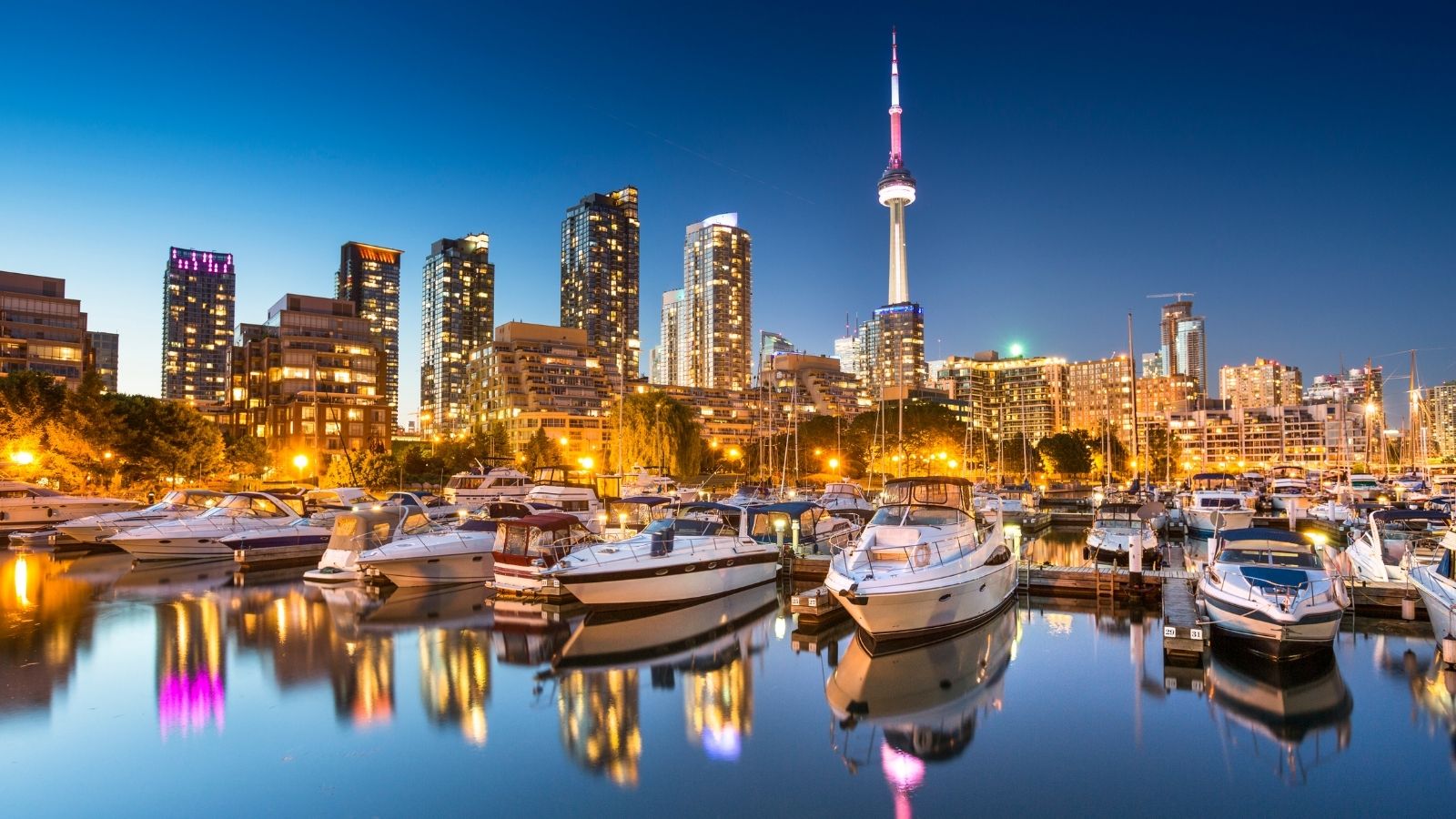 Rhinoplasty Cost in UK,USA,CANADA & Australia Rhinoplasty Cost in UK,USA,CANADA & Australia