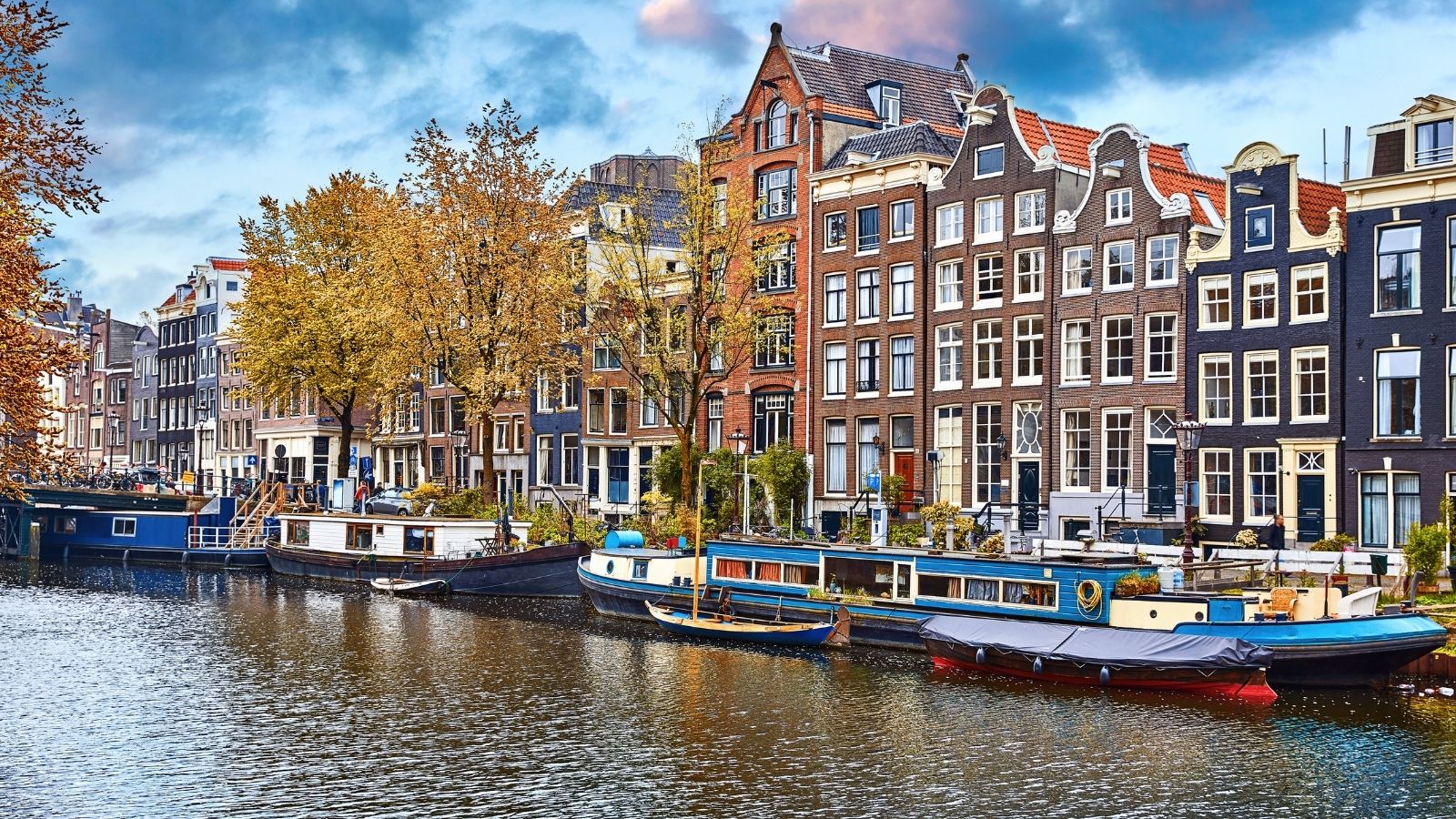 Neuscorrectie Prijs in België, Nederland & Verenigde Staten