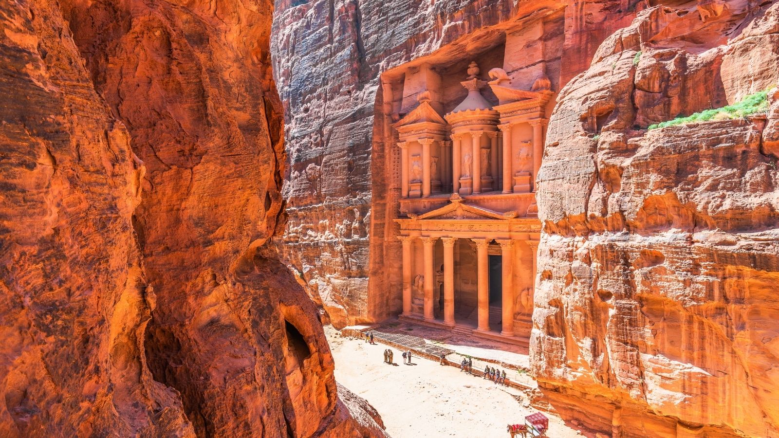 سعر عملية تجميل الأنف سعر عملية تجميل الأنف