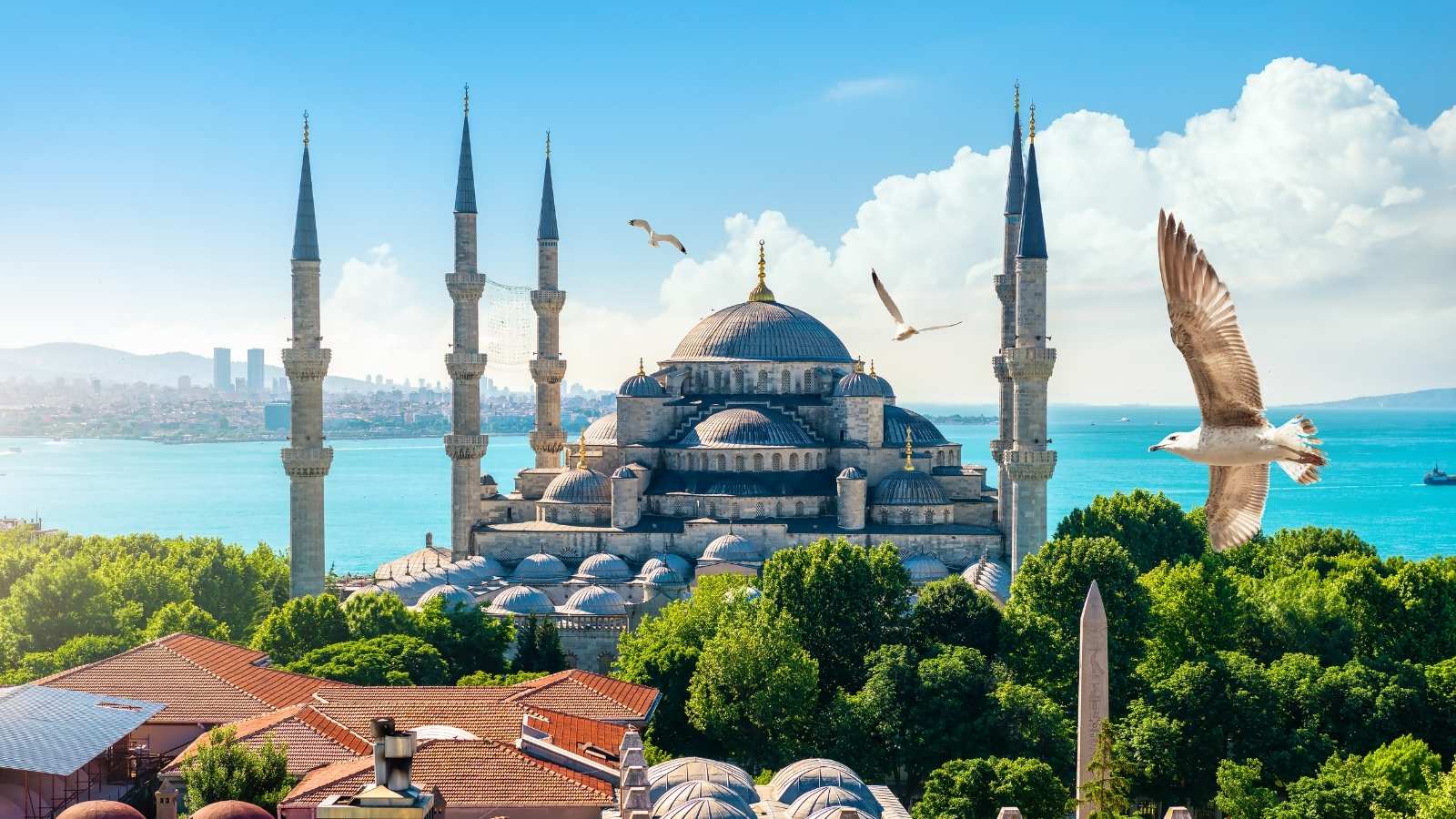 Things to Know Before You Travel to Turkey