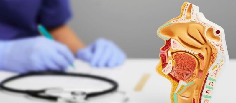 Kulak Burun Boğaz (KBB) Nedir? Hangi Hastalıkları Kapsar?